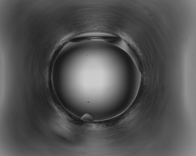 X0000086980442200704161451