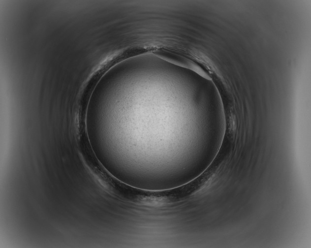 X0000086980444200704161451