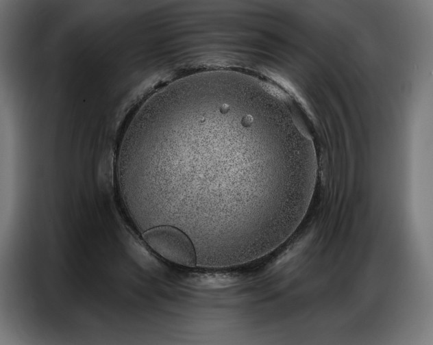 X0000086980445200704161451