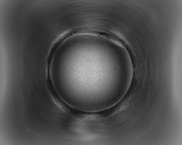 X0000086980446200704161451