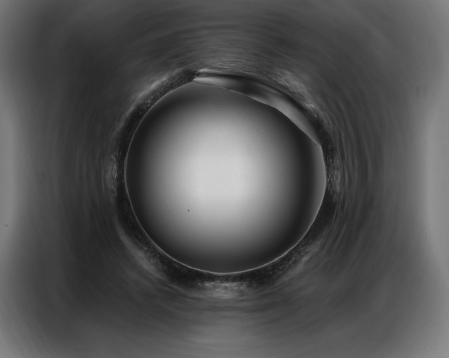 X0000086980448200704161451