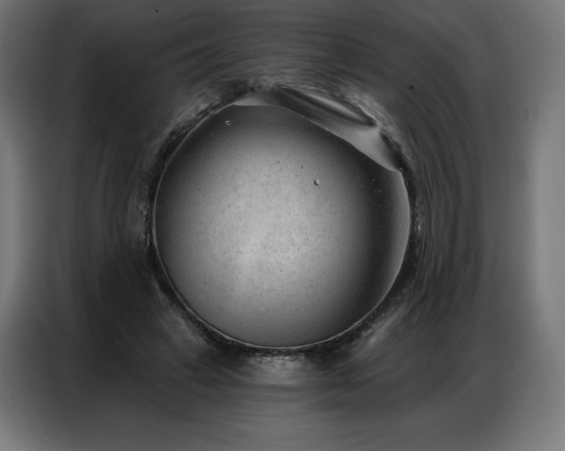 X0000086980449200704161451