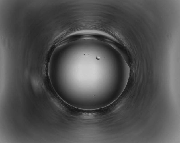 X0000086980450200704161451