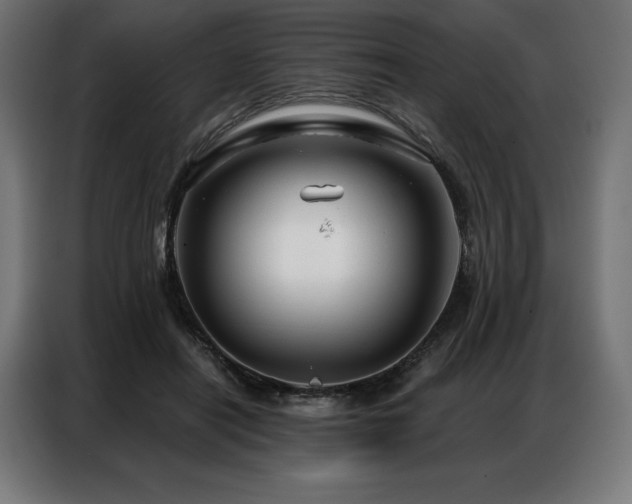 X0000086980454200704161451