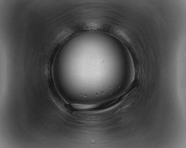 X0000086980455200704161451