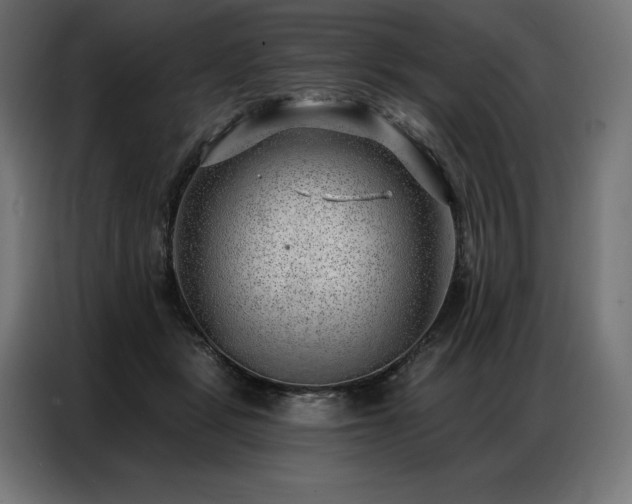 X0000086980461200704161451