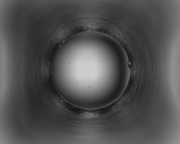 X0000086980464200704161451