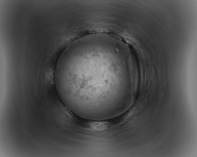 X0000086980465200704161451
