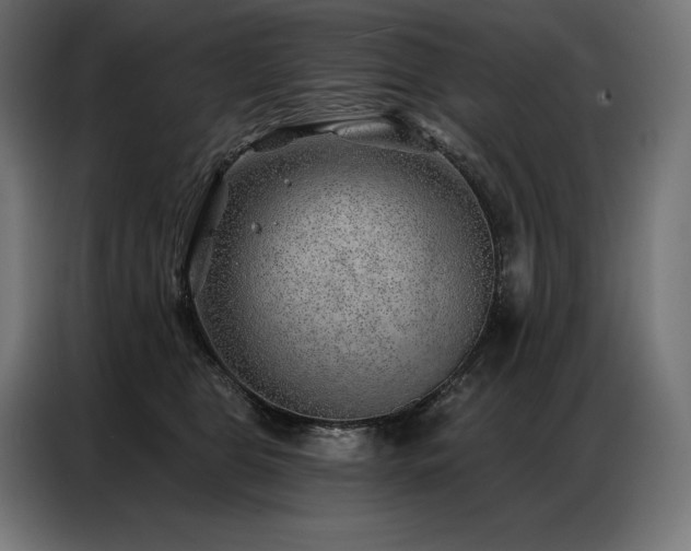 X0000086980469200704161451