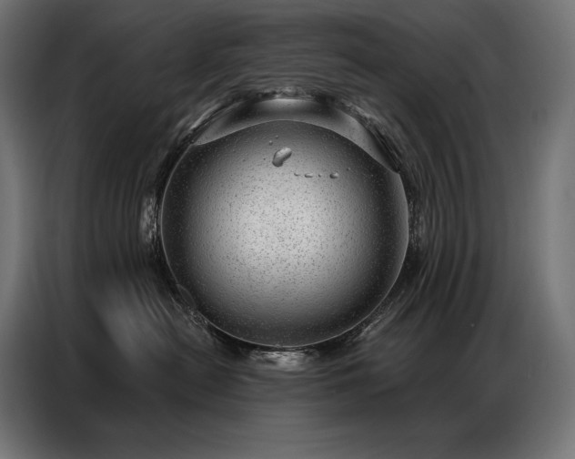 X0000086980478200704161451
