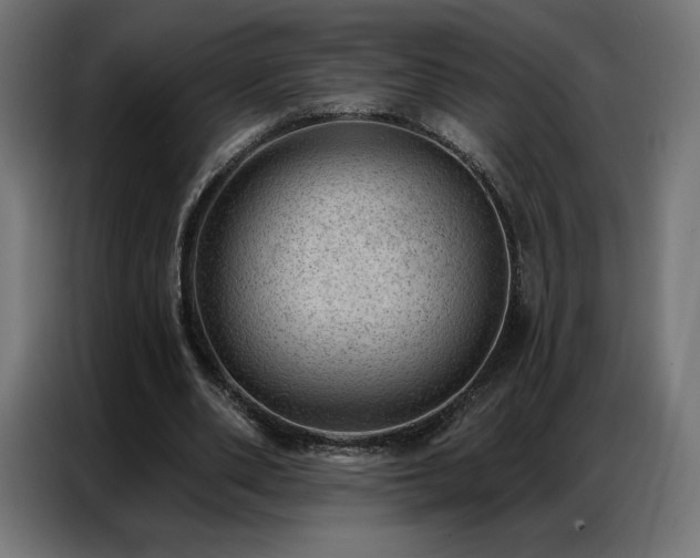 X0000086980486200704161451