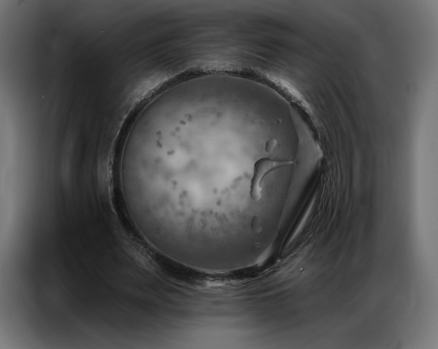 X0000086980487200704161451