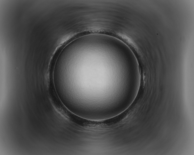 X0000086980488200704161451