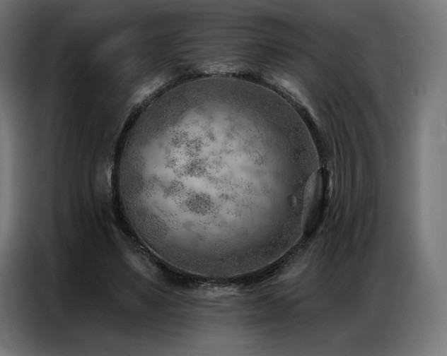X0000086980491200704161451