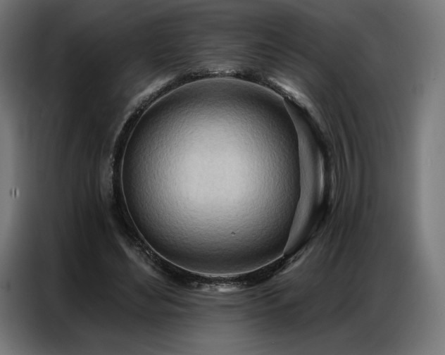 X0000086980492200704161451