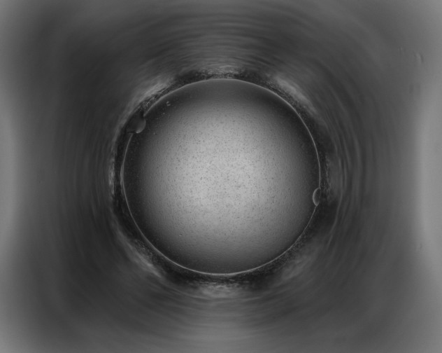 X0000086980494200704161451