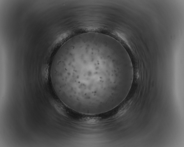 X0000086980495200704161451