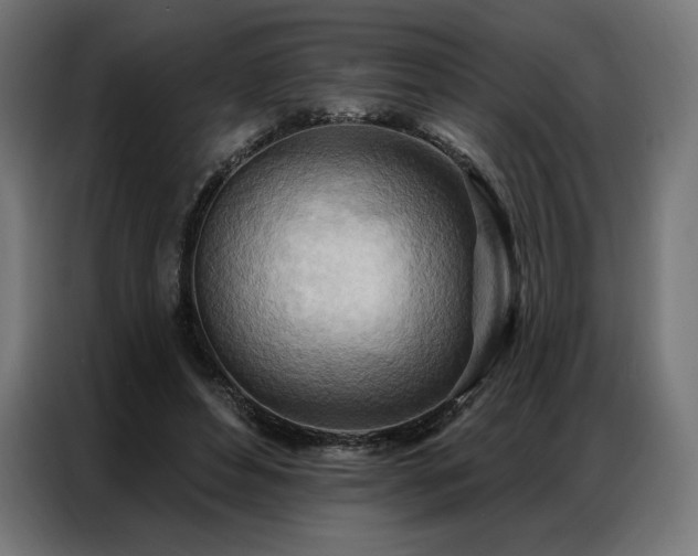 X0000086980496200704161451