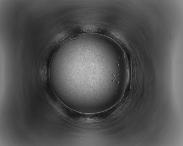 X0000086980498200704161451