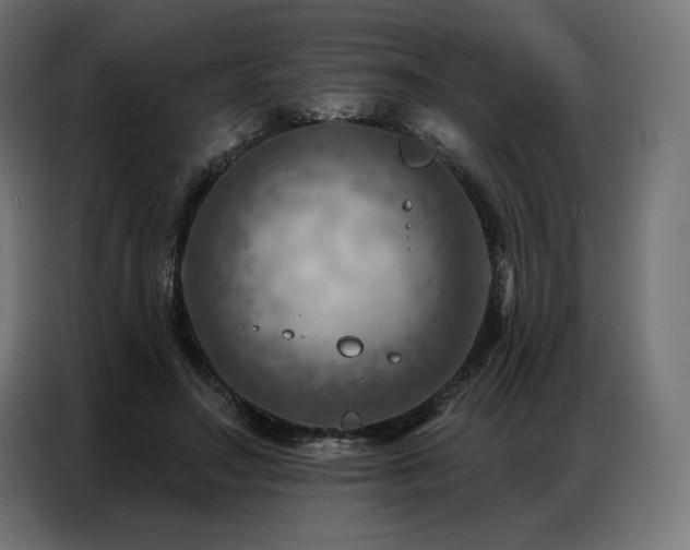 X0000086980499200704161451