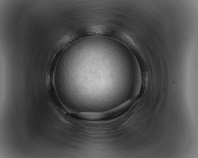 X0000086980500200704161451