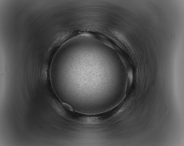 X0000086980501200704161451