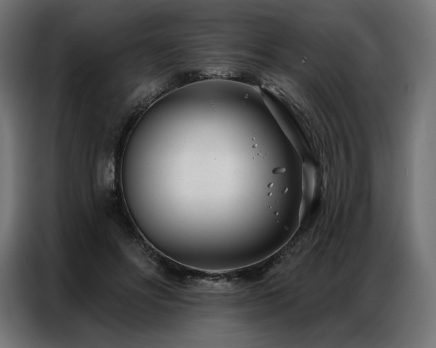X0000086980502200704161451