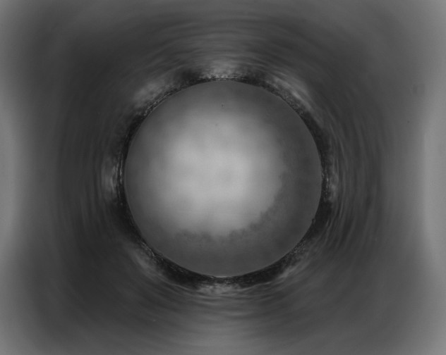 X0000086980503200704161451