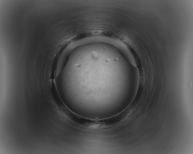 X0000086980504200704161450