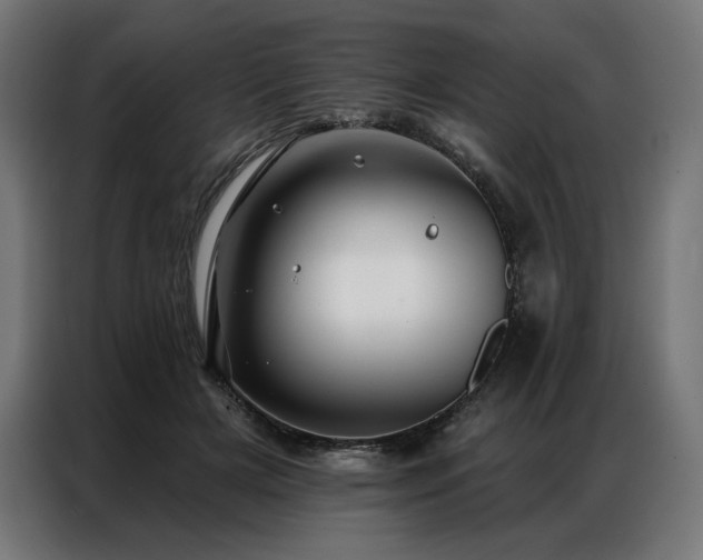 X0000086980505200704161450