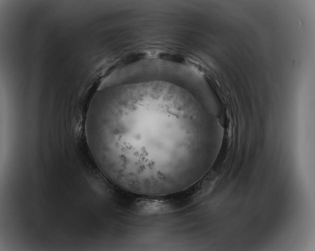 X0000086980507200704161450