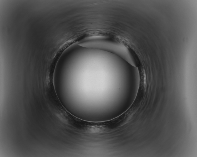 X0000086980508200704161450