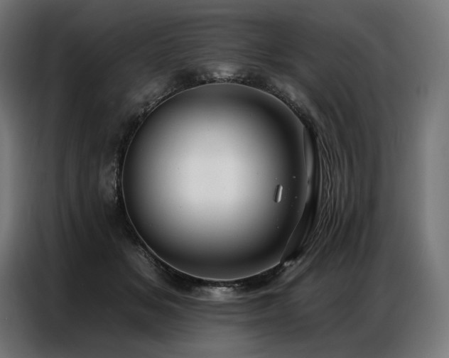 X0000086980509200704161450