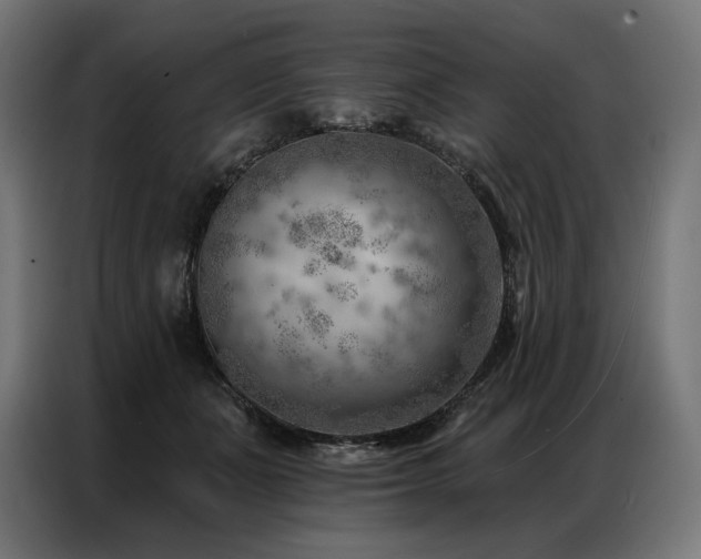 X0000086980511200704161450