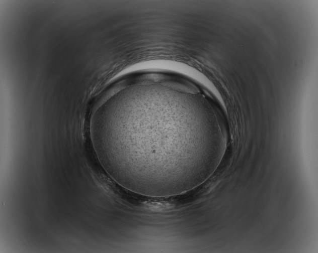 X0000086980512200704161450