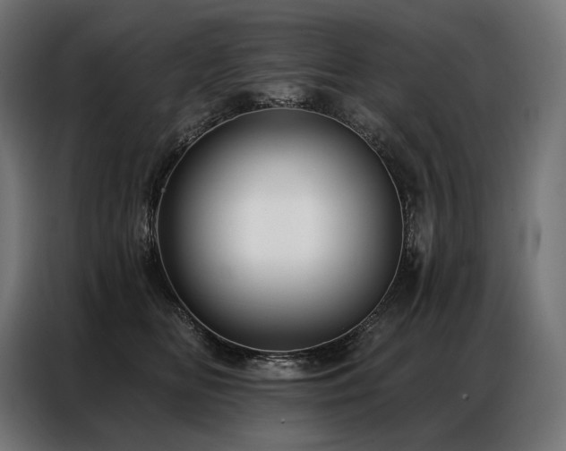 X0000086980518200704161450