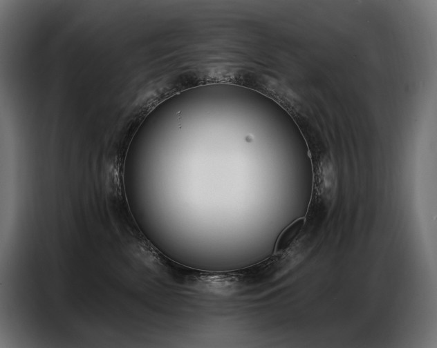 X0000086980522200704161450