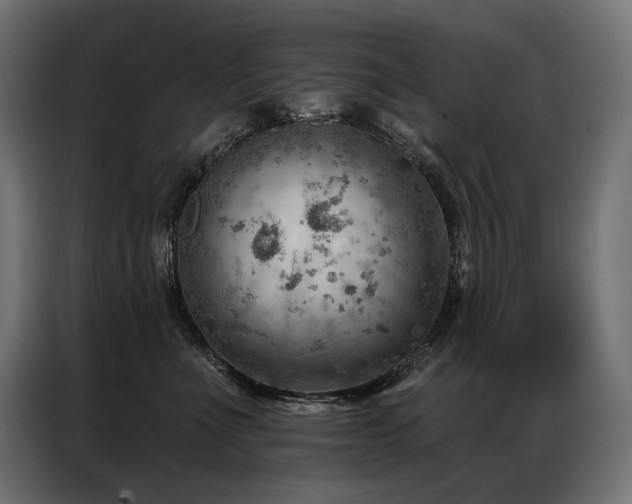 X0000086980523200704161450