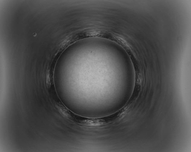 X0000086980524200704161450