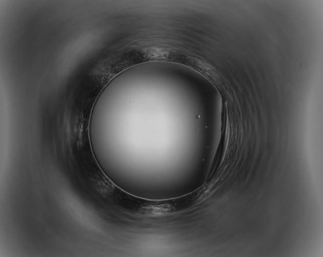 X0000086980525200704161450