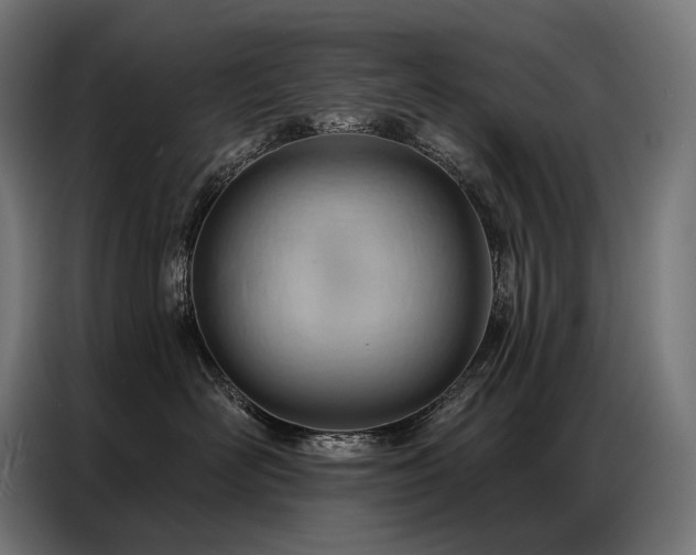X0000086980526200704161450