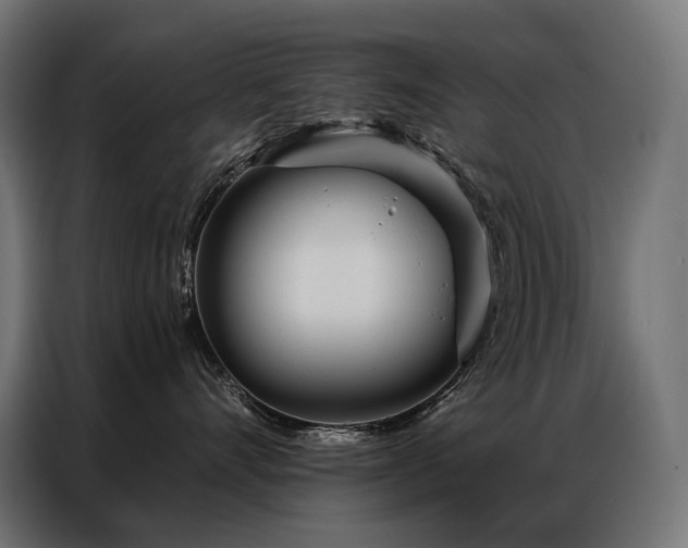 X0000086980528200704161450