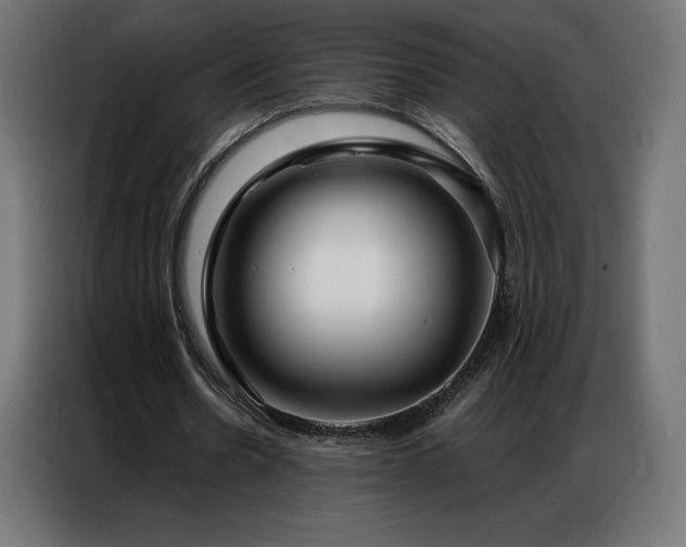 X0000086980530200704161450