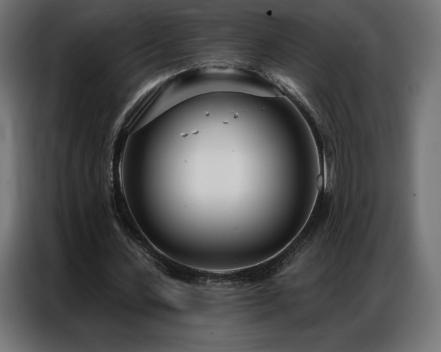 X0000086980531200704161450