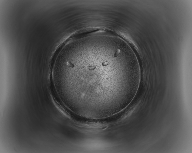 X0000086980533200704161450