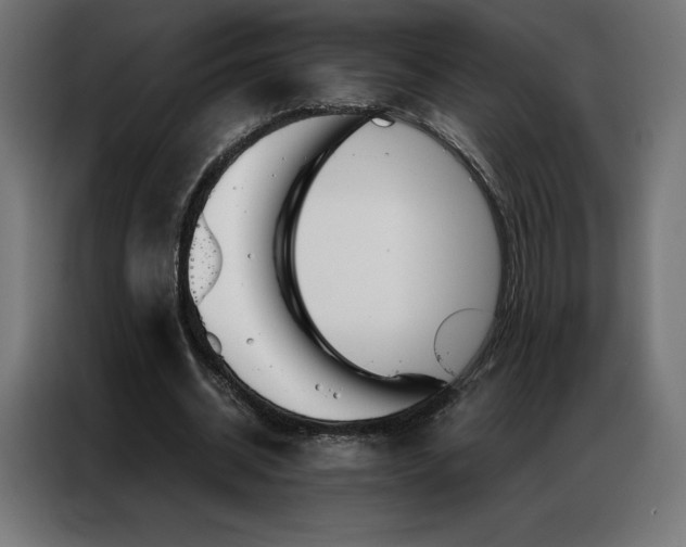 X0000086980534200704161450