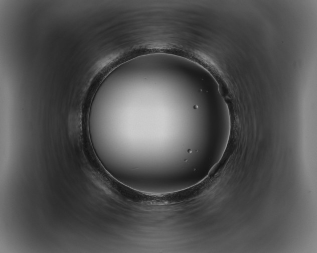 X0000086980535200704161450