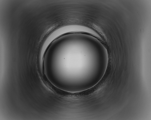 X0000086980538200704161450