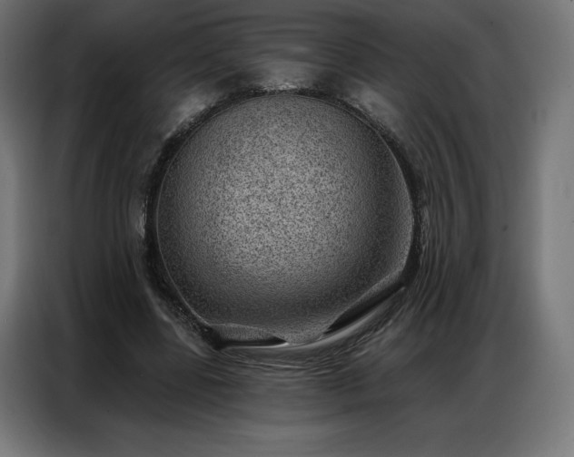 X0000086980539200704161450