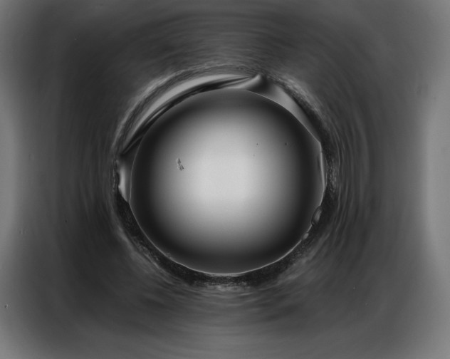 X0000086980540200704161450